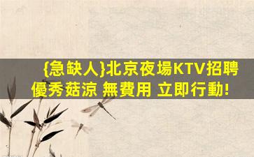 白山酒吧招聘